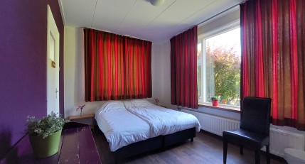 gallery images